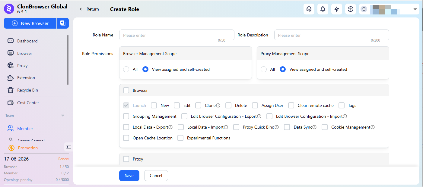 Team permission management