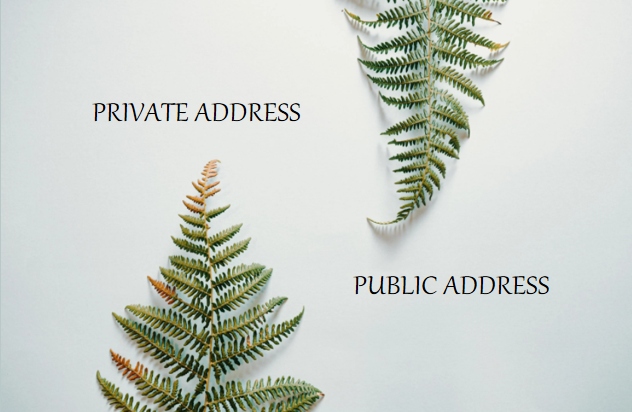 public address and private address