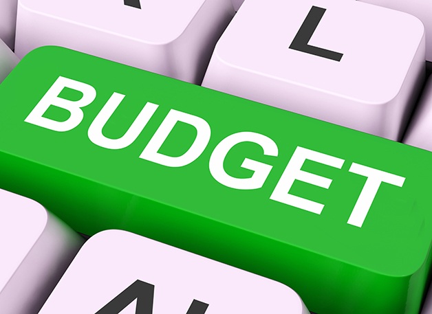 optimize budget