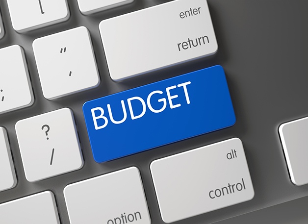 optimize the budgets